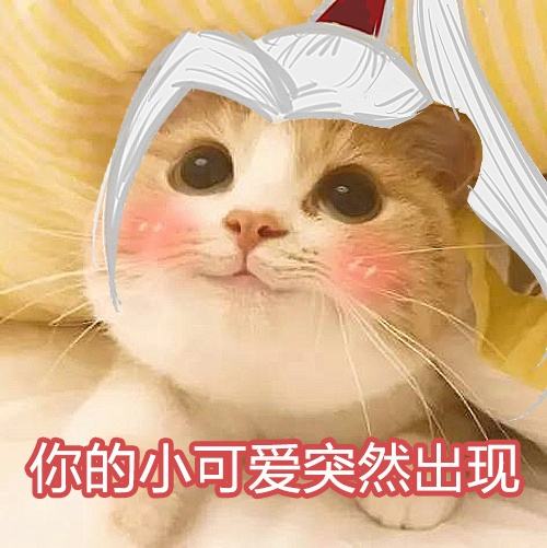 用萌力斗图!灵山超可爱喵星人表情包献上