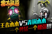 撸友联盟：王者vs青铜 木木坚强与懦弱