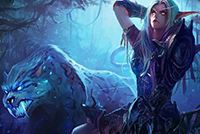 7.0兽王猎人属性优先级探讨兽王什么属性好