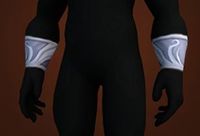 斯基奥德伊瓦贡特庇护 7.1戒律牧橙装测评