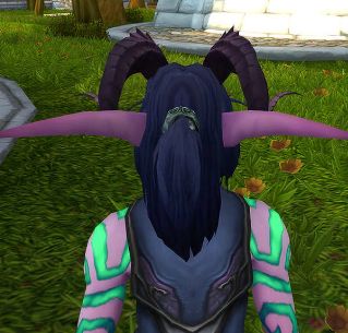 魔兽8.0人物镜头调整 靠墙不用再担心挡视野