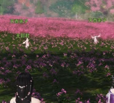 玩家娱乐盘点 在天刀里遇到的代练类型