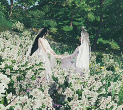 此生何求 天刀七夕专访之别枝＆惊鹊