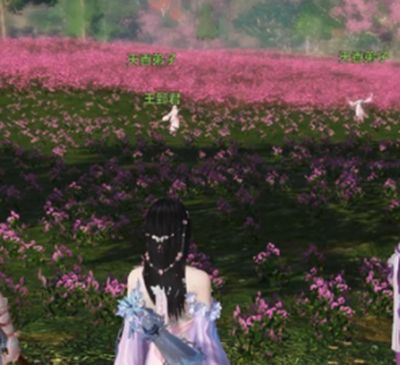 这些你都知道吗 天刀天香门派的小秘密