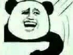 辅助了这么多年 你到底是ADC的什么？