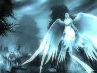 魔兽世界猎人抓灵魂兽现在还分鬼服?