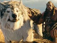 庆祝电影3160万美元票房 导演NPC上线