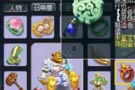 一波60和80的灵饰 这条凌波用最好了呢