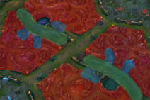 召唤师峡谷的植物出现在哪里 图解植物生成位置