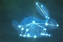 7.1宠物对战 WLK星光兔宝宝星尘获取攻略