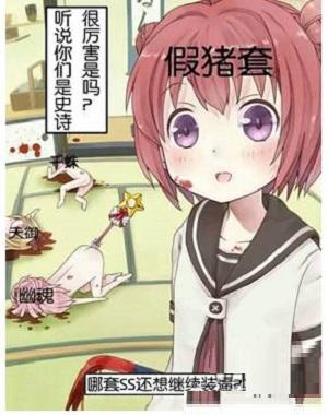 dnf假猪套天下第一是什么梗已经被玩坏啦2