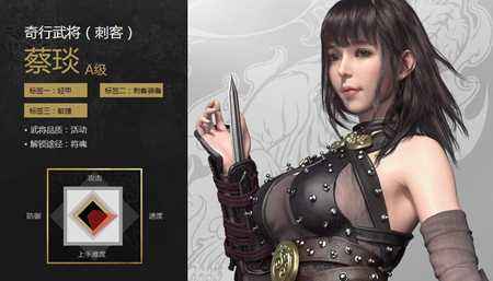 刀锋铁骑美女刺客 奇行武将刺客蔡琰介绍