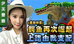 伊芙蕾雅英雄学堂：鳄鱼再次崛起 上路由我支配