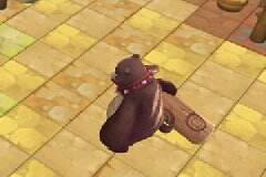 冒险岛2精英boss技能一览 虽然平时都是一刀秒