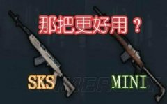 绝地求生SKS和mini14谁威力大？武器数据分析