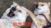 DNF90版本主C养成指南 适合自己才最重要