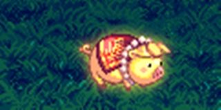 DNF追忆宠物盒子内容一览 哪些宠物被追忆