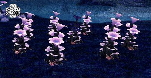 《洛奇》G23全新副本通关详解