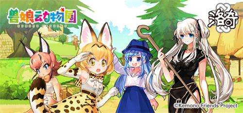 《洛奇》爱琳动物园?薮猫与你的完美邂逅!