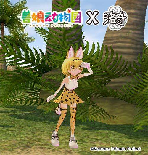 《洛奇》爱琳动物园?薮猫与你的完美邂逅!