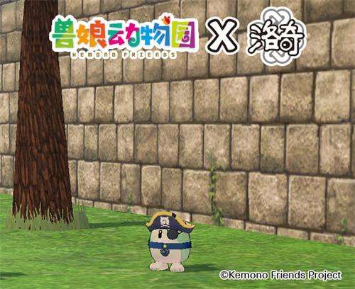 《洛奇》爱琳动物园?薮猫与你的完美邂逅!