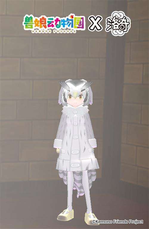 《洛奇》爱琳动物园?薮猫与你的完美邂逅!