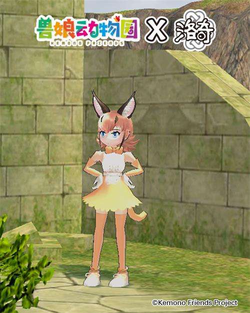 《洛奇》爱琳动物园?薮猫与你的完美邂逅!