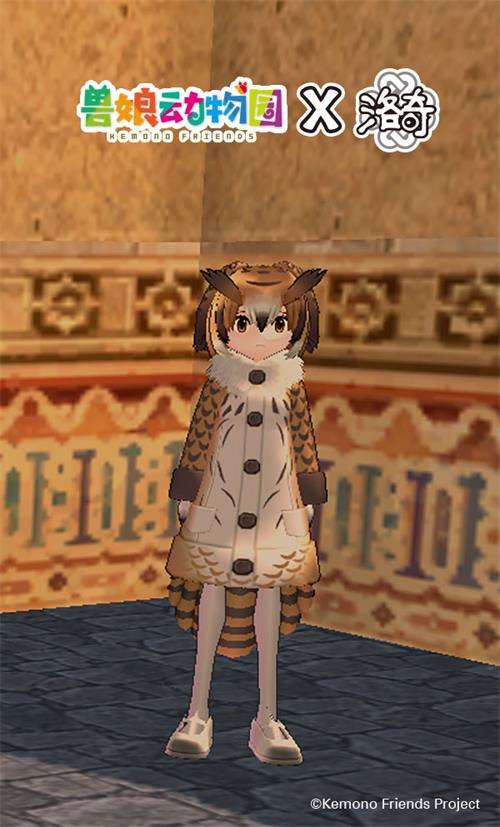 《洛奇》爱琳动物园?薮猫与你的完美邂逅!