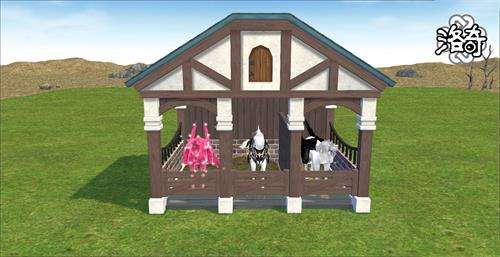 《洛奇》共筑爱的家园 温馨的宠物小屋！