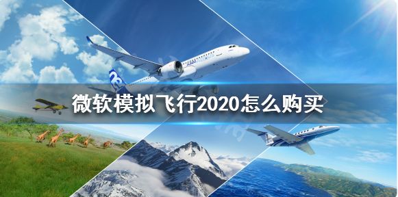 微软模拟飞行怎么买 购买方法介绍