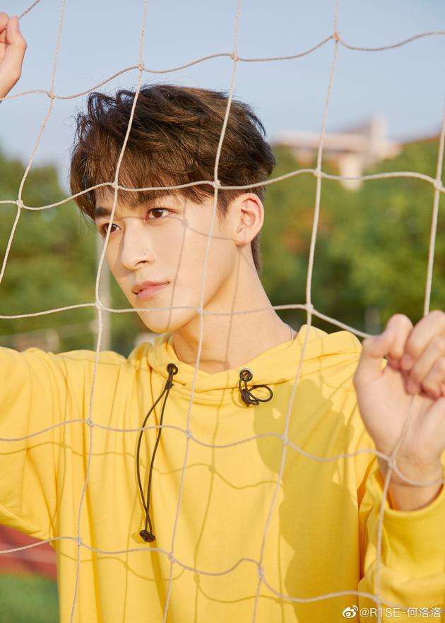 何洛洛为什么道歉何洛洛道歉的原因是什么