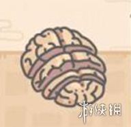最强蜗牛爱因斯坦大脑切片属性介绍 爱因斯坦大脑切片品阶是什么