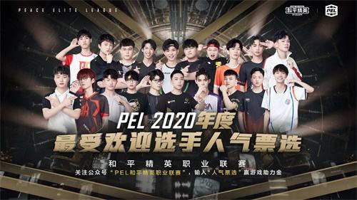 邀你一起开启PEL 2020 S3总决赛，不由界定，百战成名！