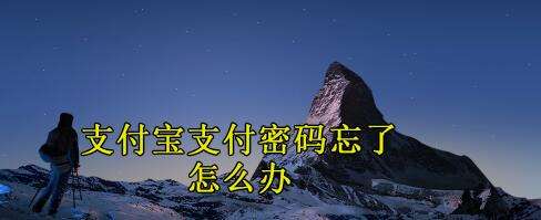 支付宝支付密码忘了怎么办 支付密码重置方法