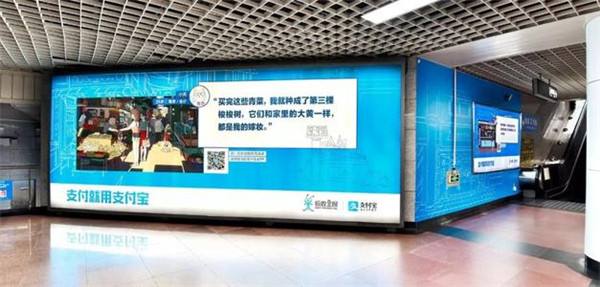 支付宝支付密码忘了怎么办 支付密码重置方法