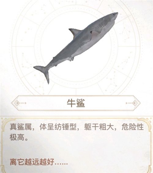 天谕手游汐愿之海鱼类收藏大全 海底鱼类如何解锁 