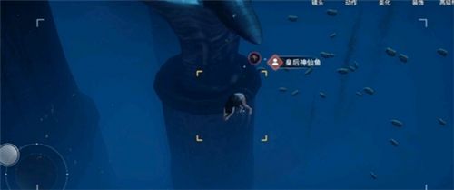 天谕手游汐愿之海鱼类收藏大全 海底鱼类如何解锁 