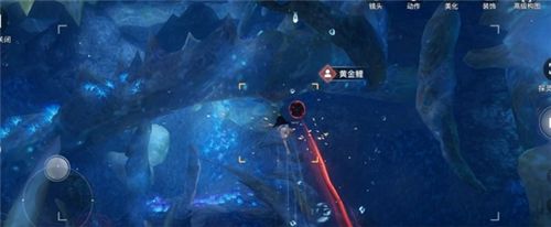 天谕手游汐愿之海鱼类收藏大全 海底鱼类如何解锁 