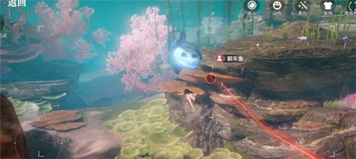 天谕手游汐愿之海鱼类收藏大全 海底鱼类如何解锁 