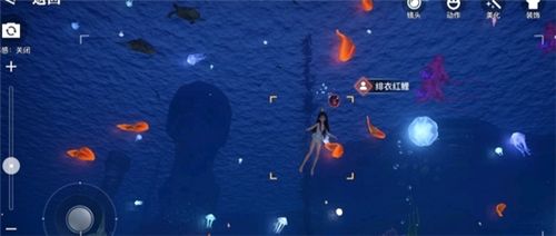 天谕手游汐愿之海鱼类收藏大全 海底鱼类如何解锁 