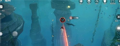 天谕手游汐愿之海鱼类收藏大全 海底鱼类如何解锁 