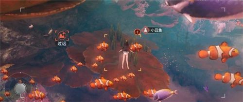 天谕手游汐愿之海鱼类收藏大全 海底鱼类如何解锁 