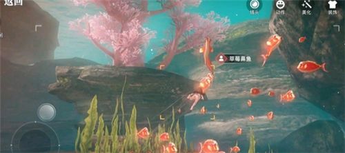 天谕手游汐愿之海鱼类收藏大全 海底鱼类如何解锁 