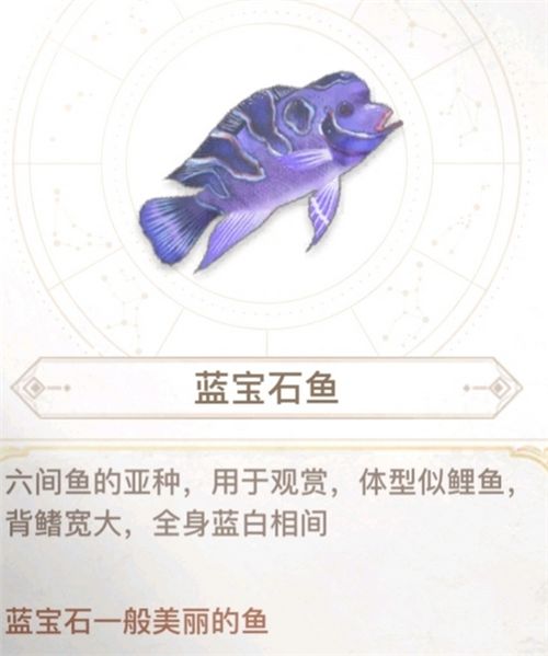 天谕手游汐愿之海鱼类收藏大全 海底鱼类如何解锁 