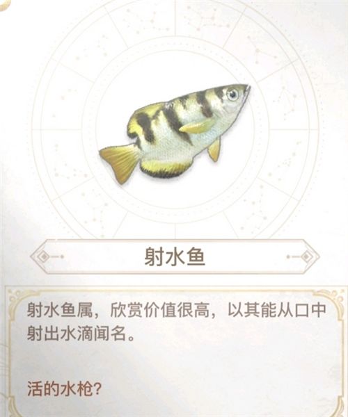 天谕手游汐愿之海鱼类收藏大全 海底鱼类如何解锁 