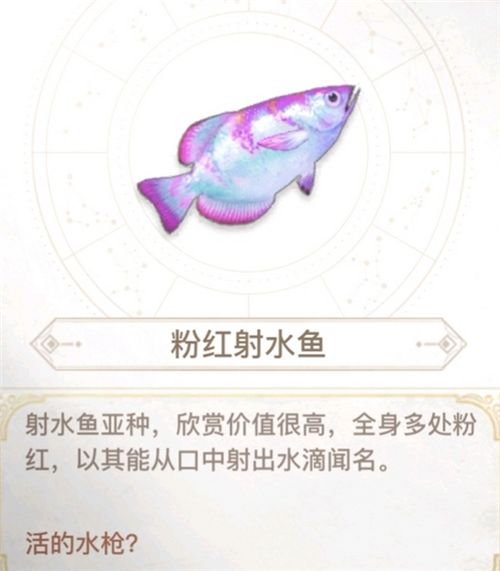 天谕手游汐愿之海鱼类收藏大全 海底鱼类如何解锁 