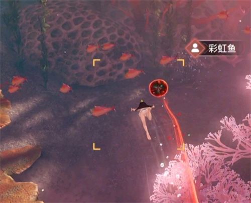 天谕手游汐愿之海鱼类收藏大全 海底鱼类如何解锁 