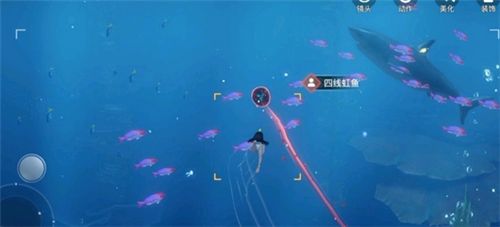 天谕手游汐愿之海鱼类收藏大全 海底鱼类如何解锁 
