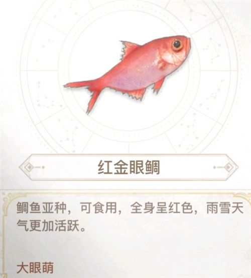 天谕手游汐愿之海鱼类收藏大全 海底鱼类如何解锁 