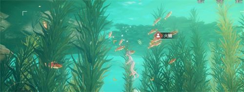 天谕手游汐愿之海鱼类收藏大全 海底鱼类如何解锁 